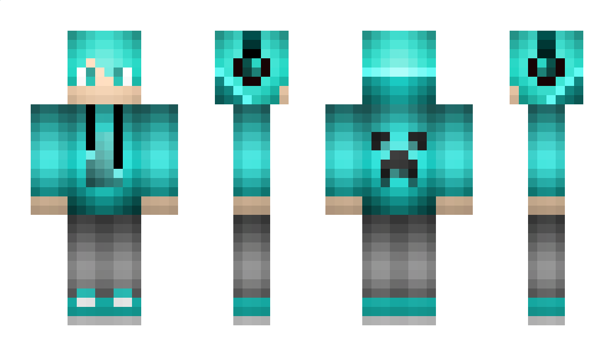 Bonzenbic1 Minecraft Skin