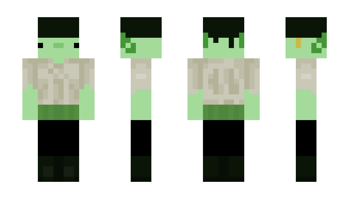 Veinark Minecraft Skin