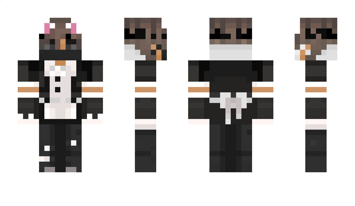 Stank1243 Minecraft Skin