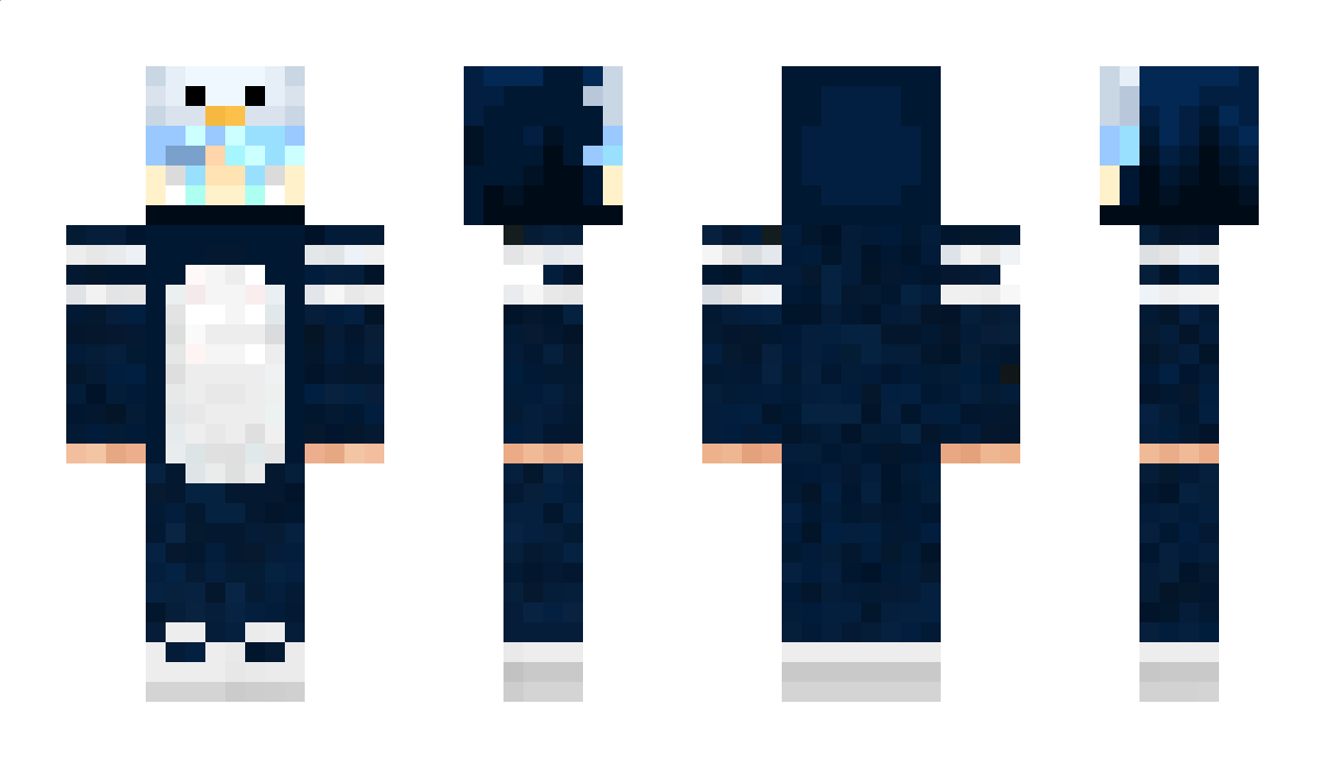 pengui2602 Minecraft Skin