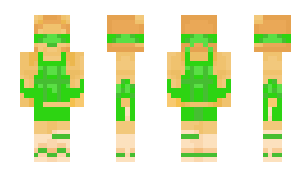 M170_Swe Minecraft Skin