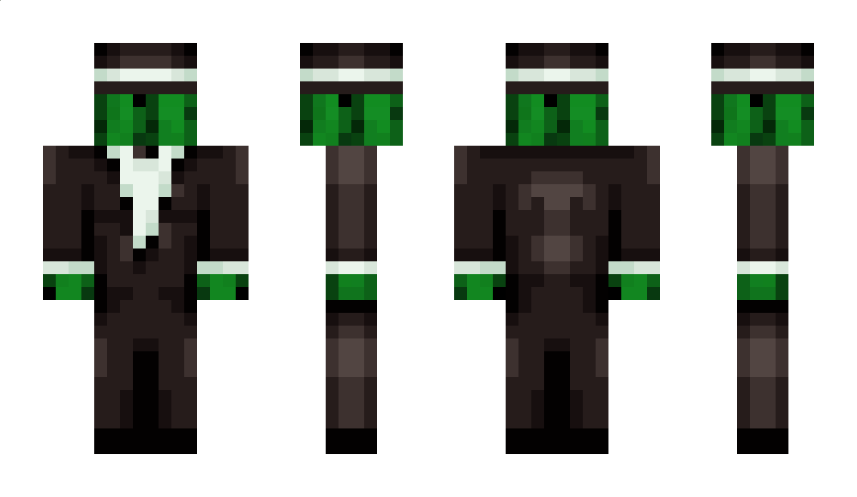 SirCacti Minecraft Skin