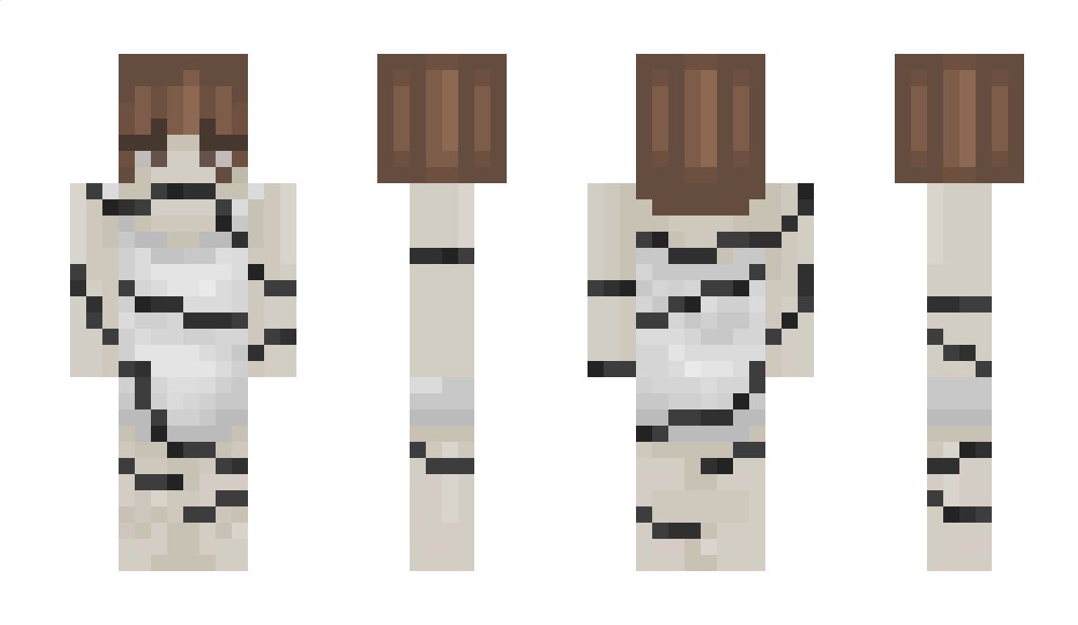 B_ee Minecraft Skin