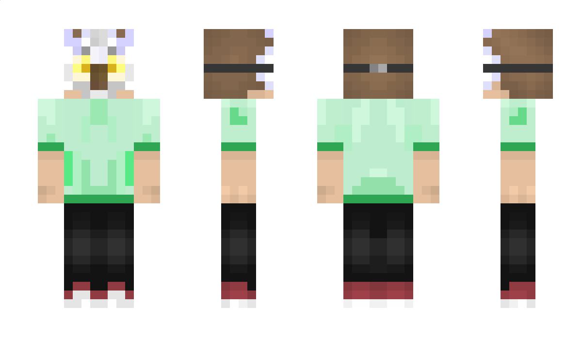 AnyArtLP Minecraft Skin