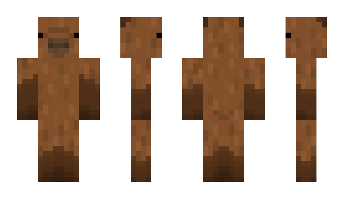 RILEYGIRDLER Minecraft Skin