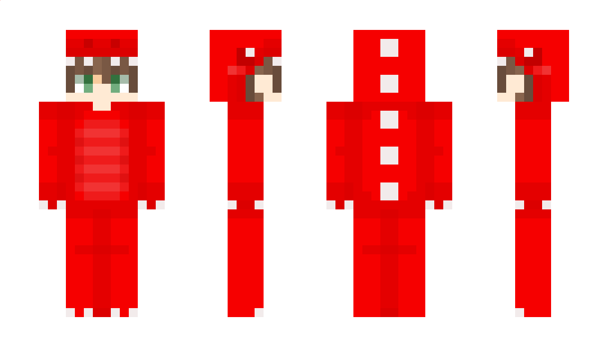 Donebi Minecraft Skin