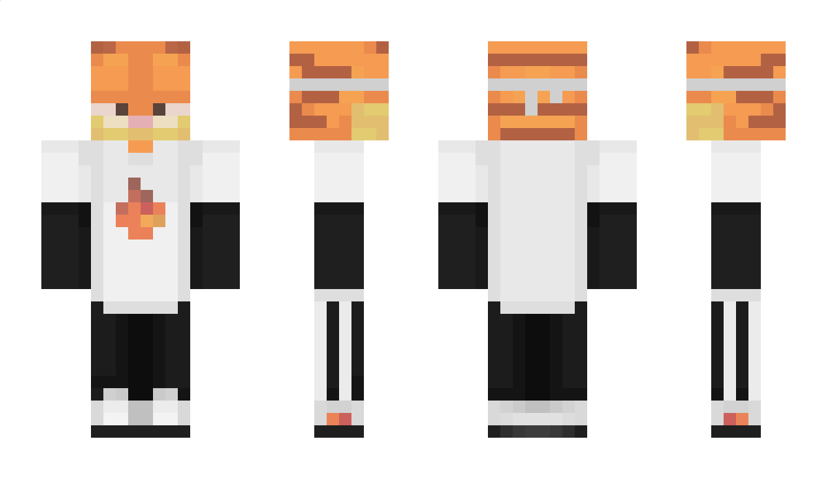 Bands Minecraft Skin