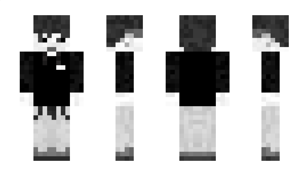 VANSvics Minecraft Skin