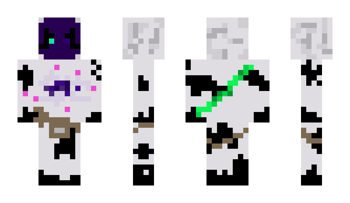 VidarWA Minecraft Skin