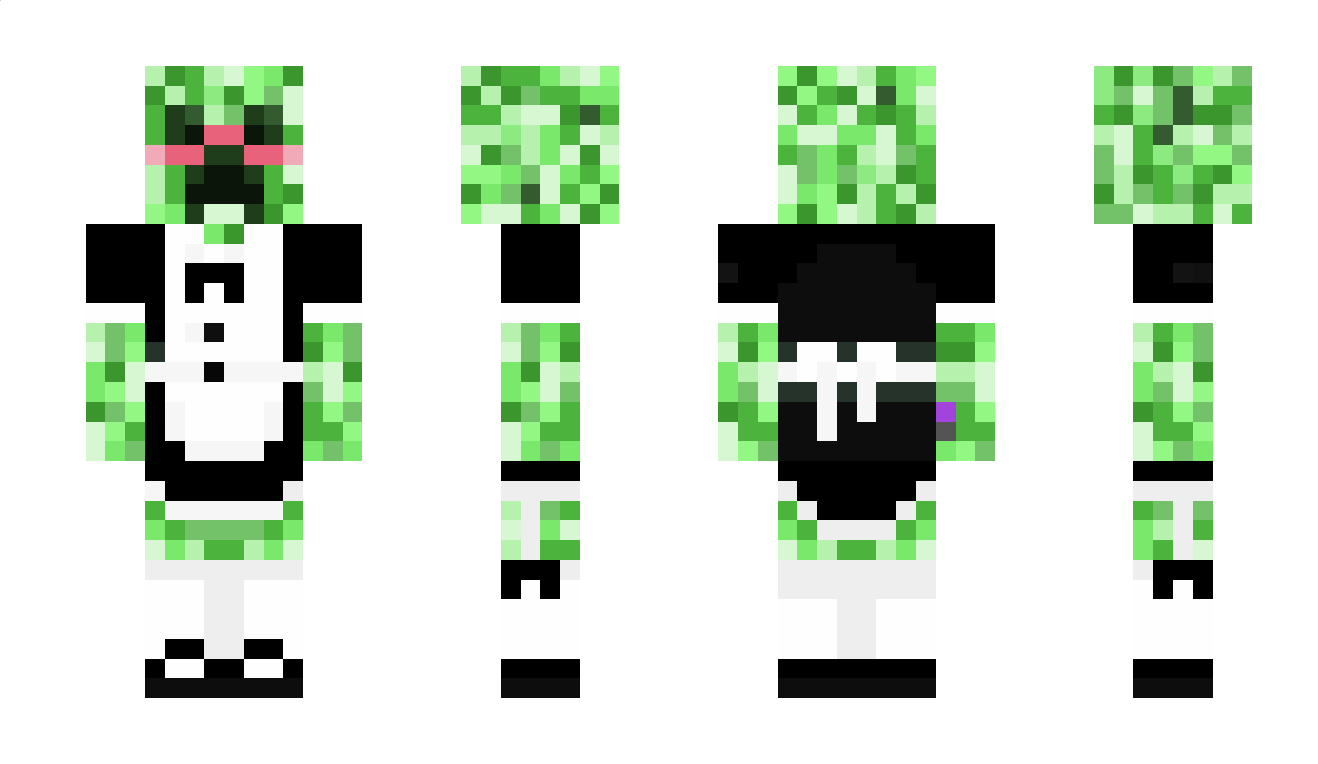 meggthebob Minecraft Skin