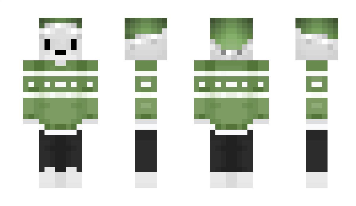 whyPxnda Minecraft Skin