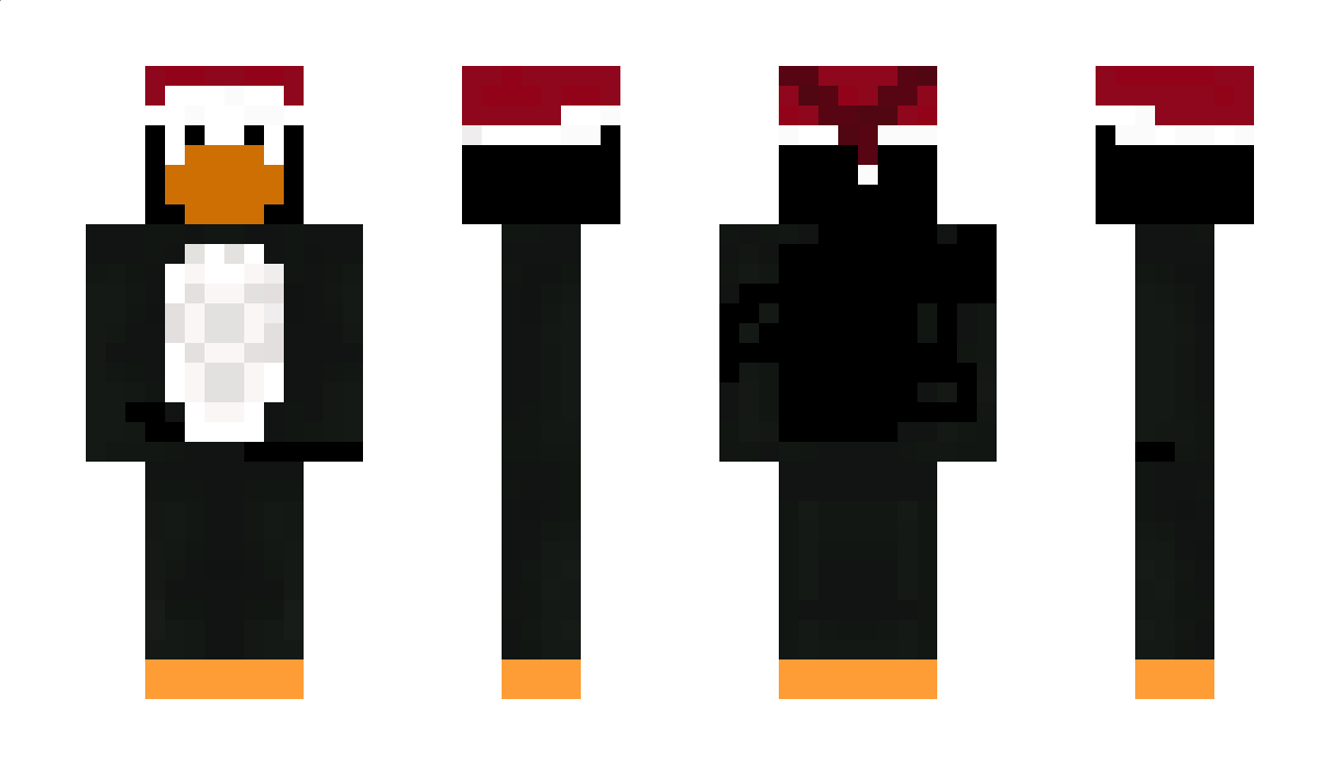 Wise_Penguin63 Minecraft Skin