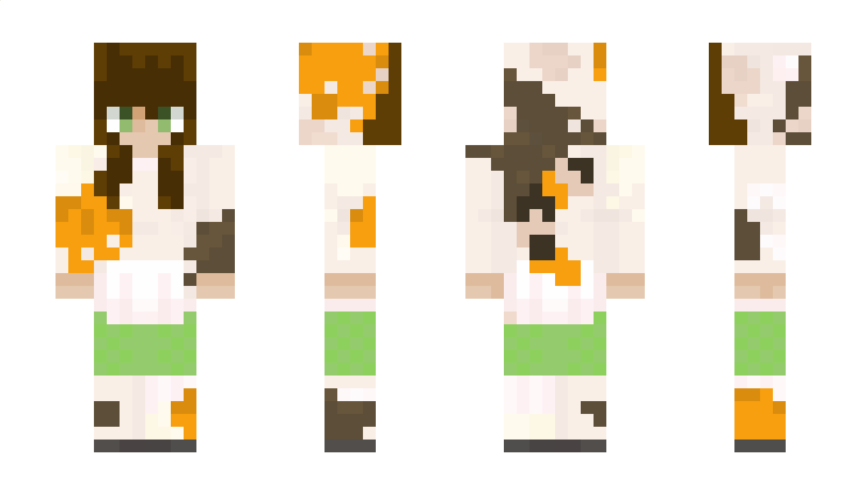 Litek234110 Minecraft Skin