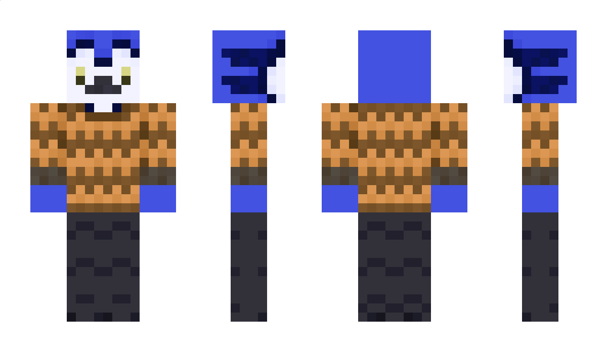 BerdNird Minecraft Skin