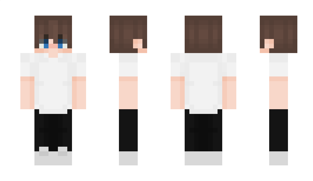 11tl Minecraft Skin