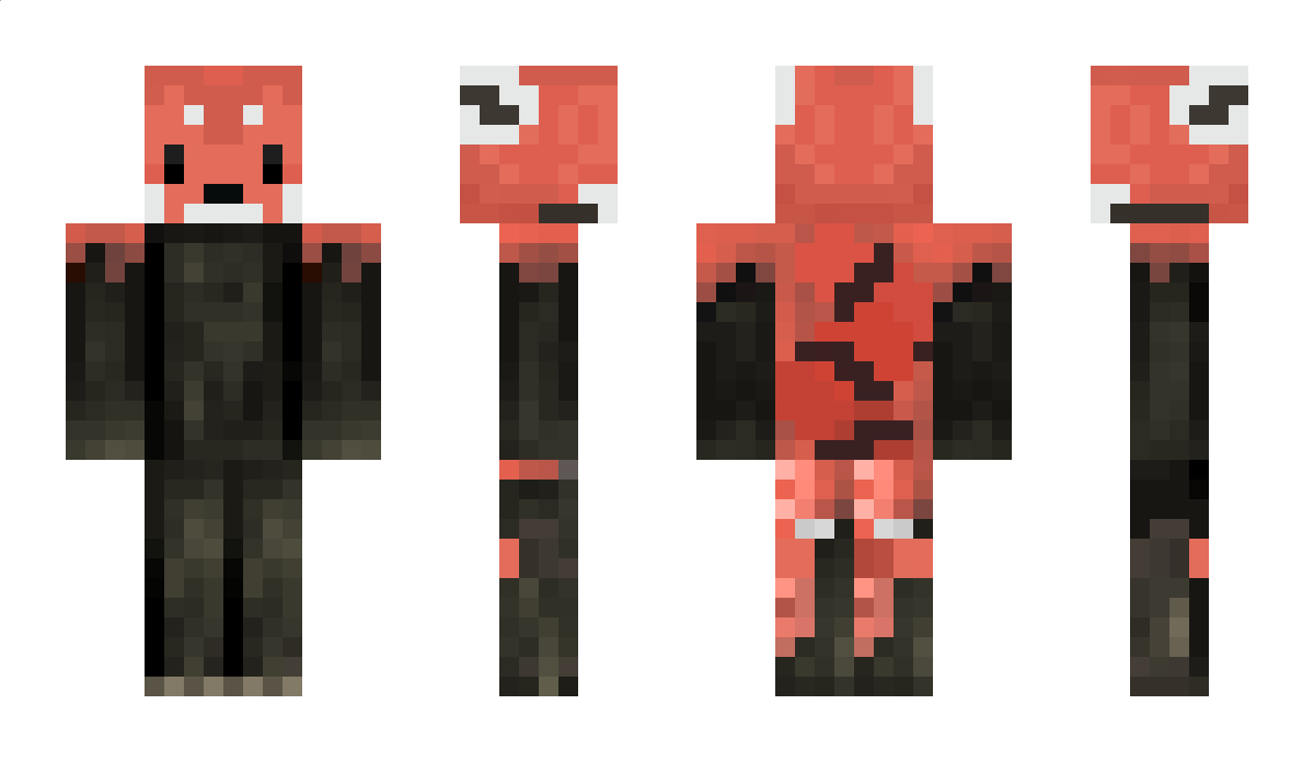 danieeel971 Minecraft Skin