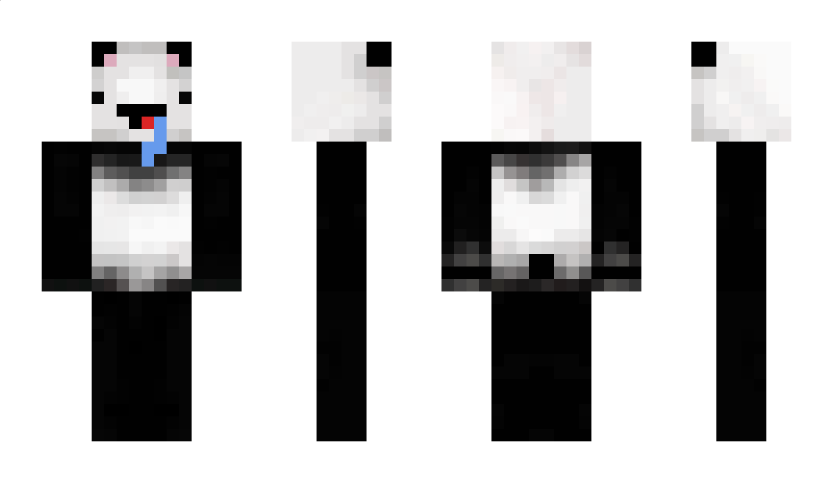 Pandas12345 Minecraft Skin