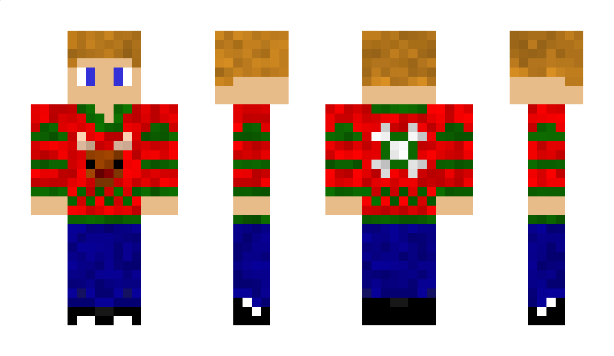 Dutch1311 Minecraft Skin