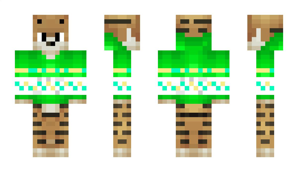 PackedIce Minecraft Skin