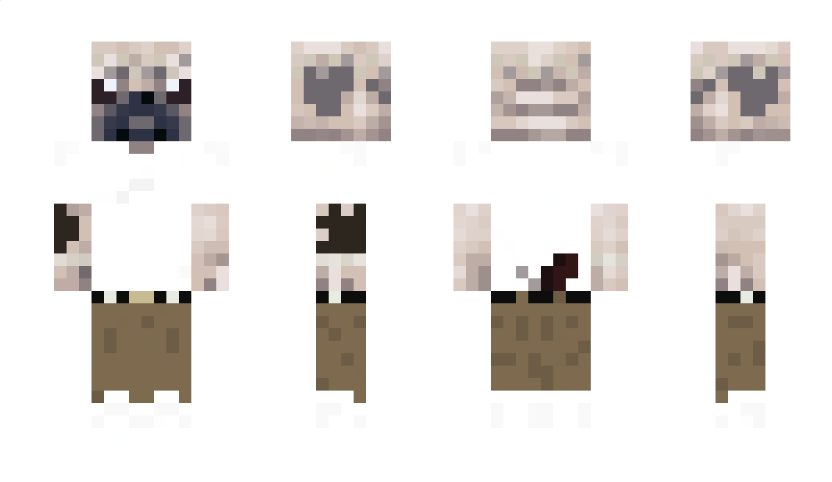 Pugy2b Minecraft Skin