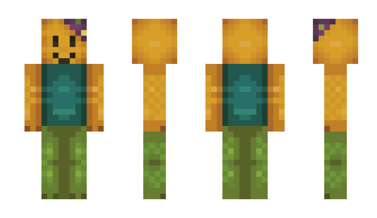 raphsstuff Minecraft Skin