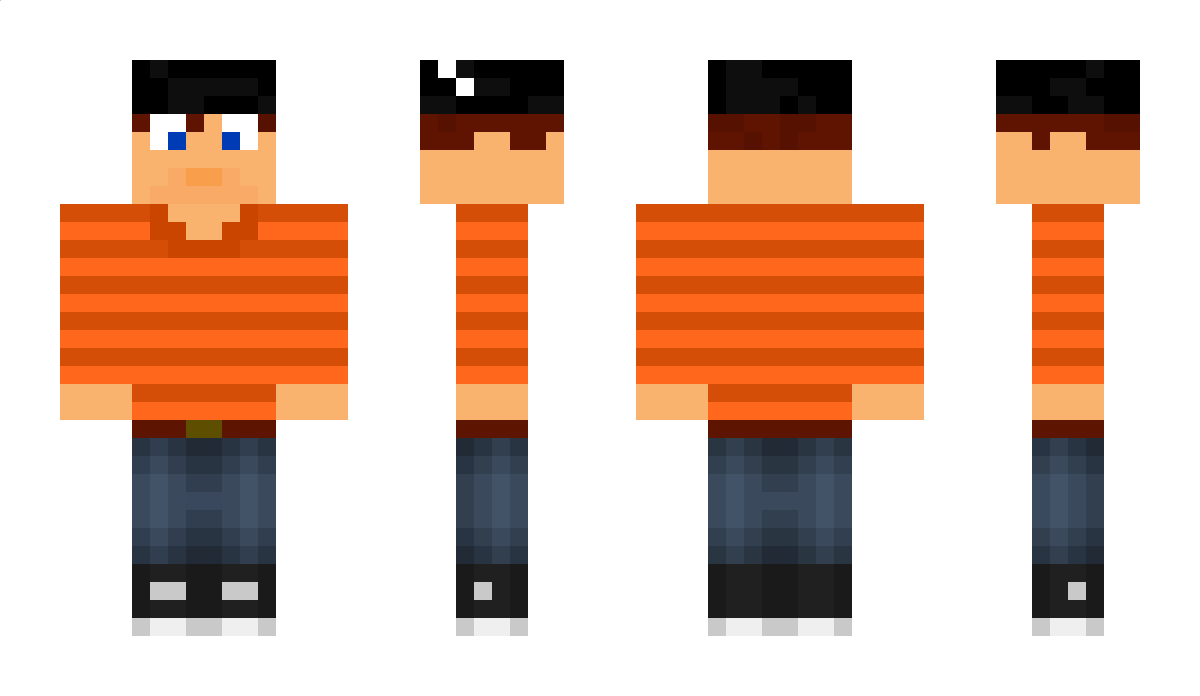 Friesland Minecraft Skin