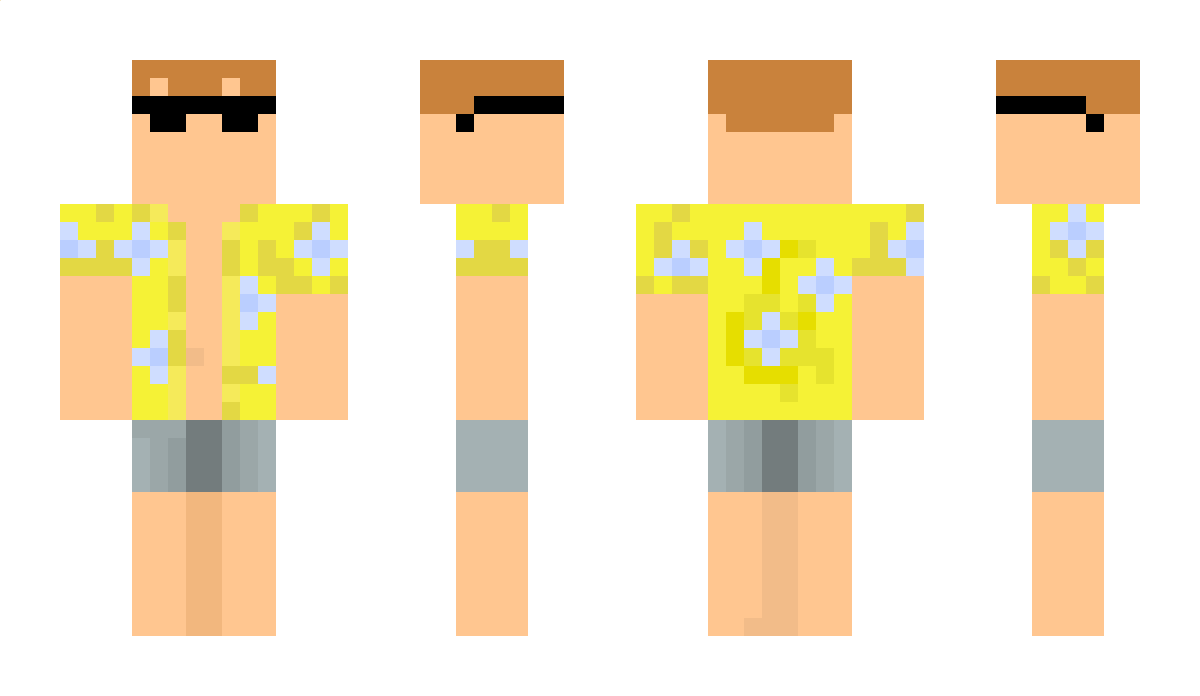 rohamzareie Minecraft Skin