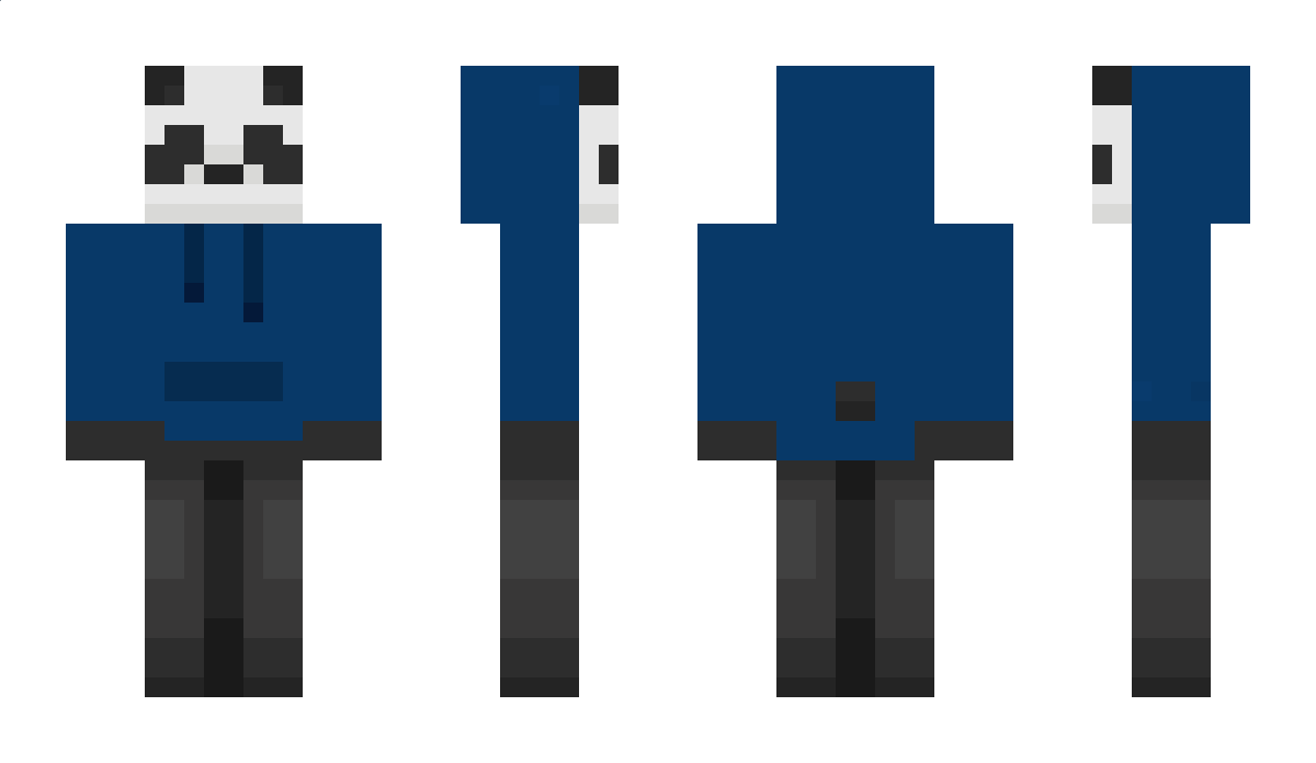 NICOYONE100411 Minecraft Skin