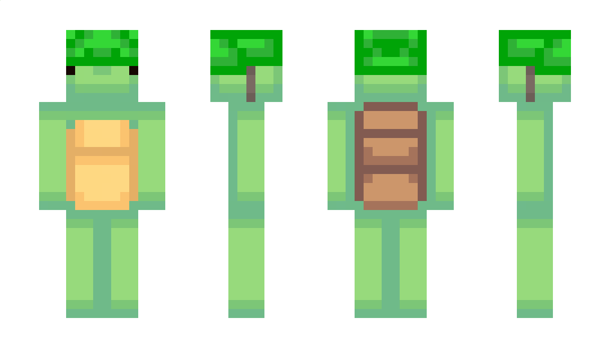 TheTurtle9476 Minecraft Skin