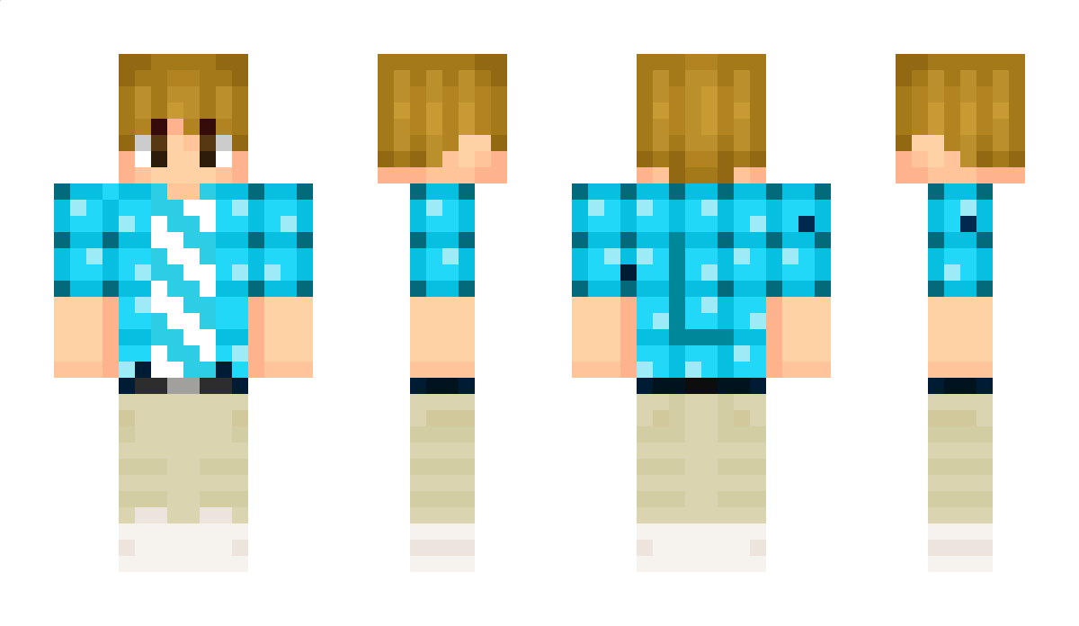 JonasP13 Minecraft Skin