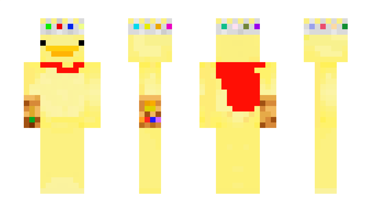 tutleking Minecraft Skin