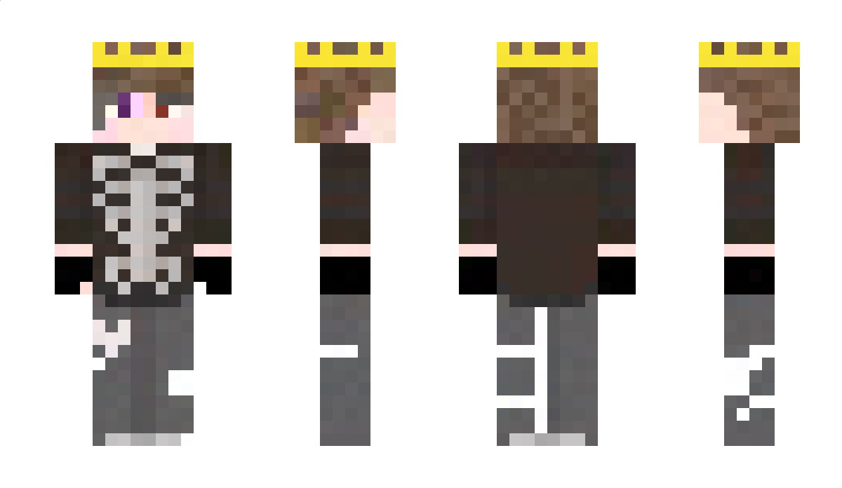 _Villxin Minecraft Skin