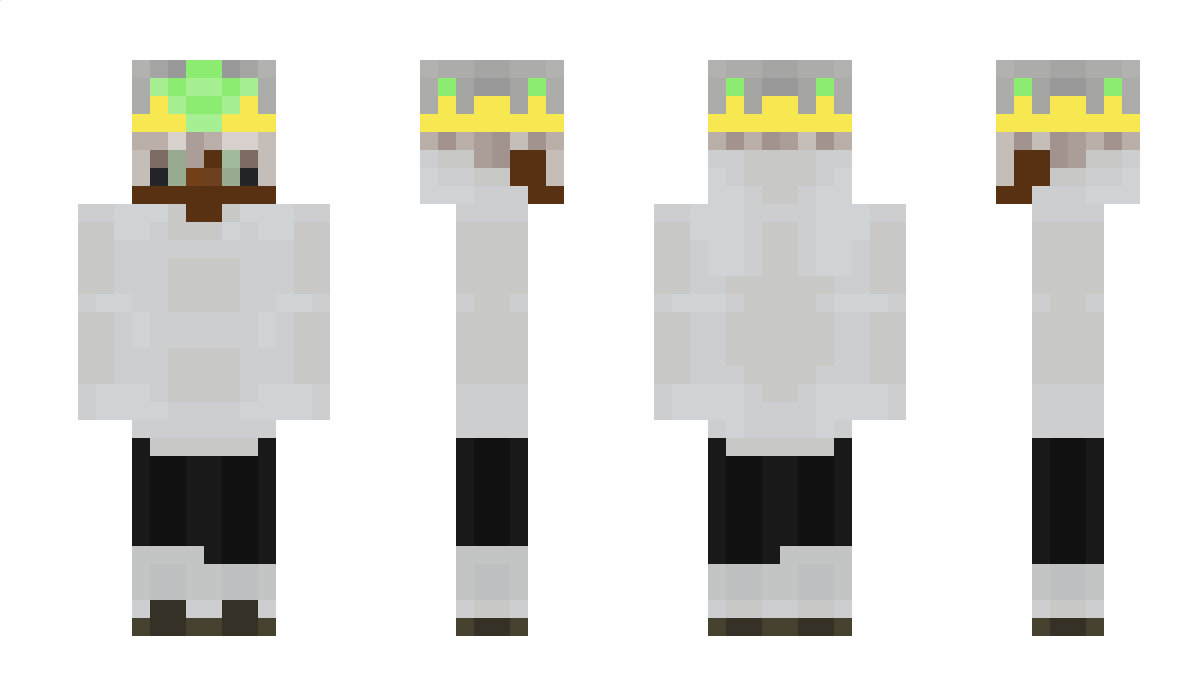 MisterLionel10 Minecraft Skin