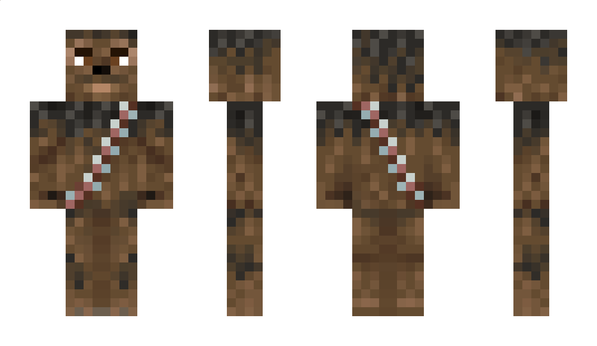 Donator Minecraft Skin