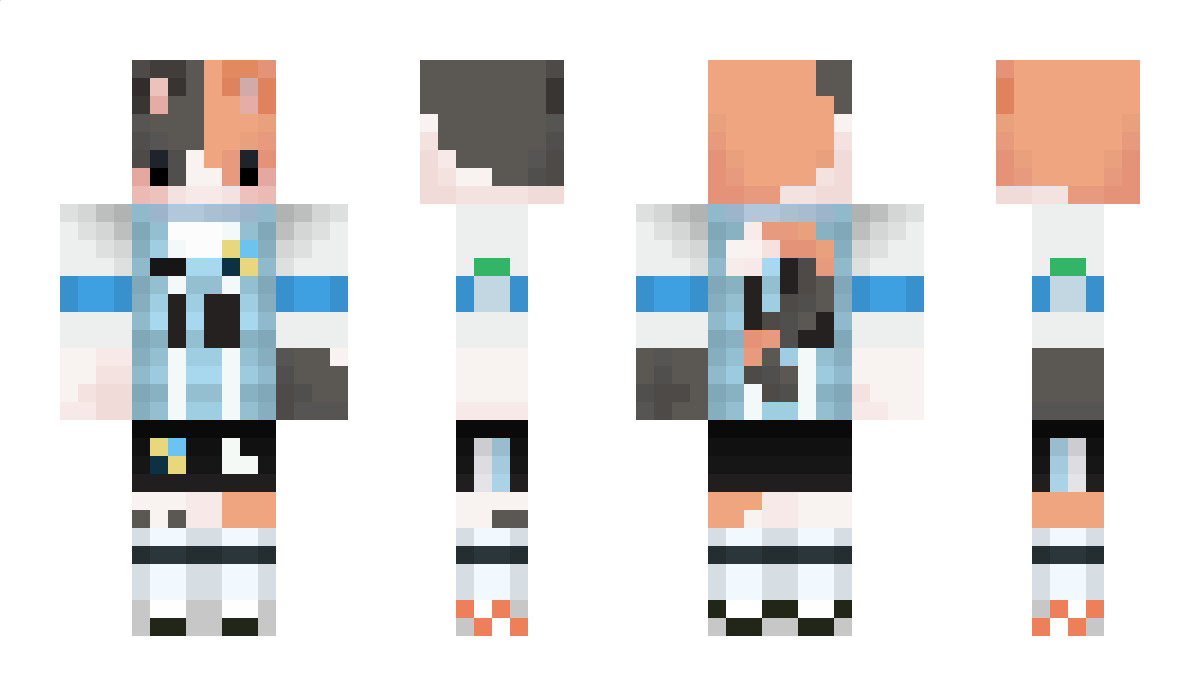 DejavuArg Minecraft Skin