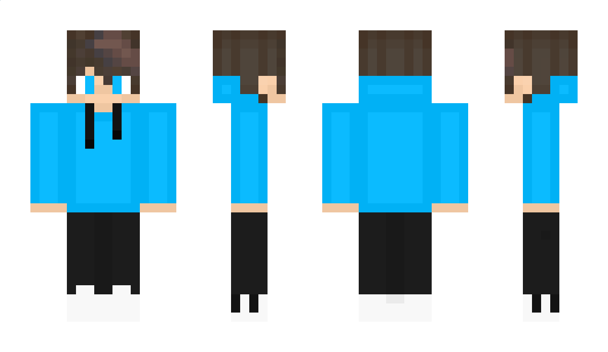 daniel123ervasti Minecraft Skin