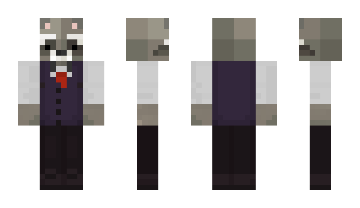 Racooze Minecraft Skin