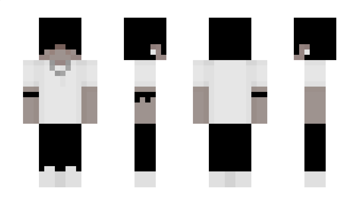 EzDroppedBySebas Minecraft Skin