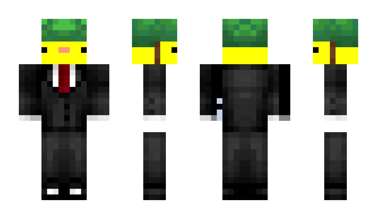 Aquanna Minecraft Skin