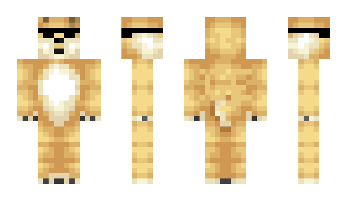 Doge4 Minecraft Skin