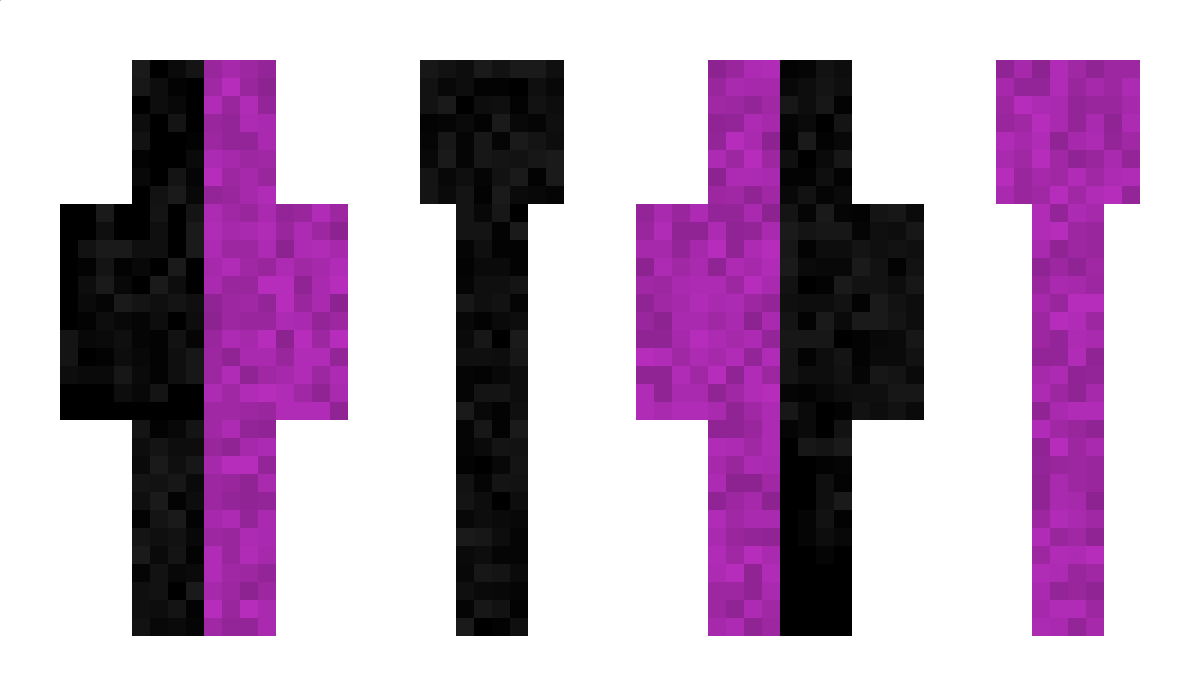 VoidReaver12 Minecraft Skin