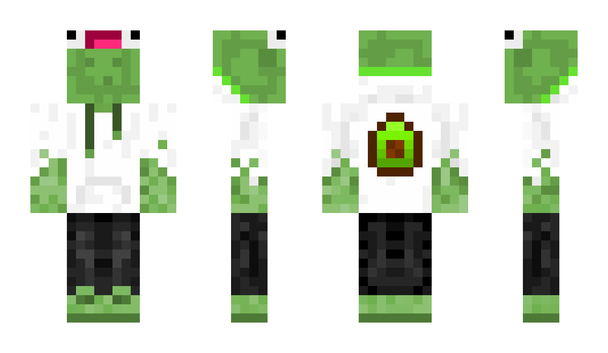 frosch123 Minecraft Skin