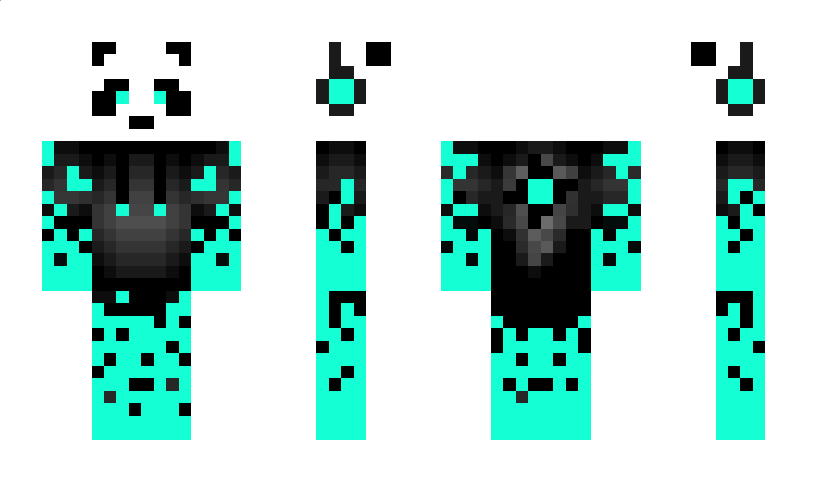 hexkin Minecraft Skin