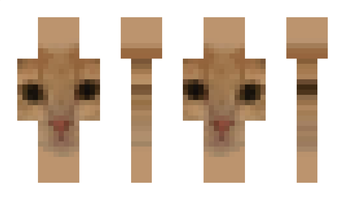 rapoxo_ Minecraft Skin