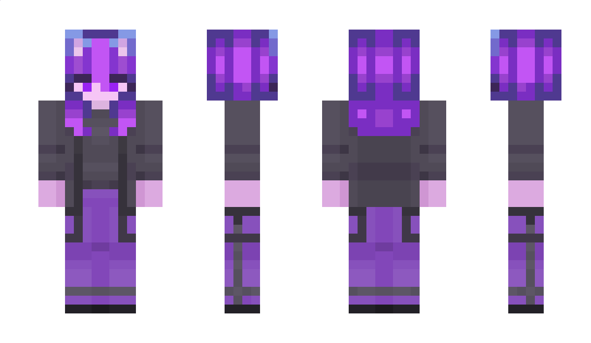 nski Minecraft Skin