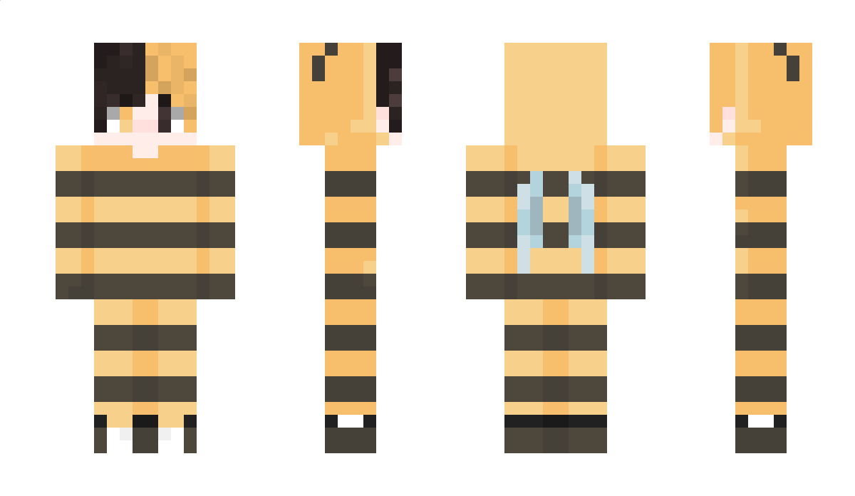 emirholmesx Minecraft Skin