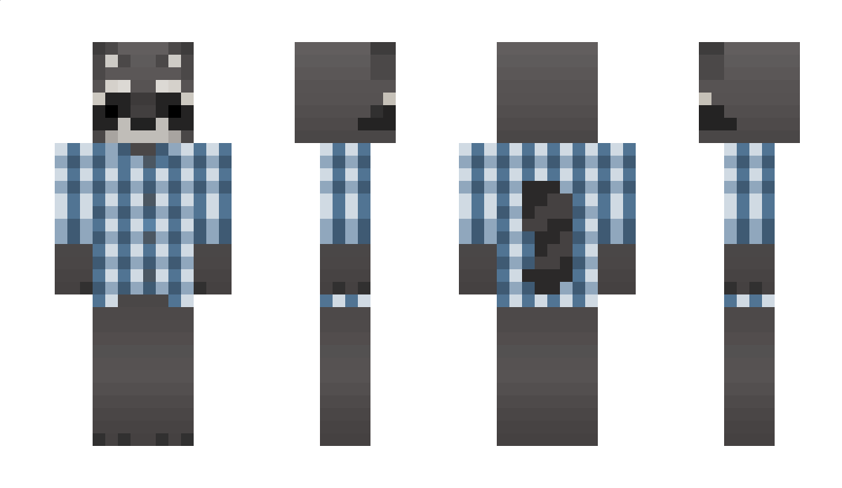 MrLojouPlus Minecraft Skin