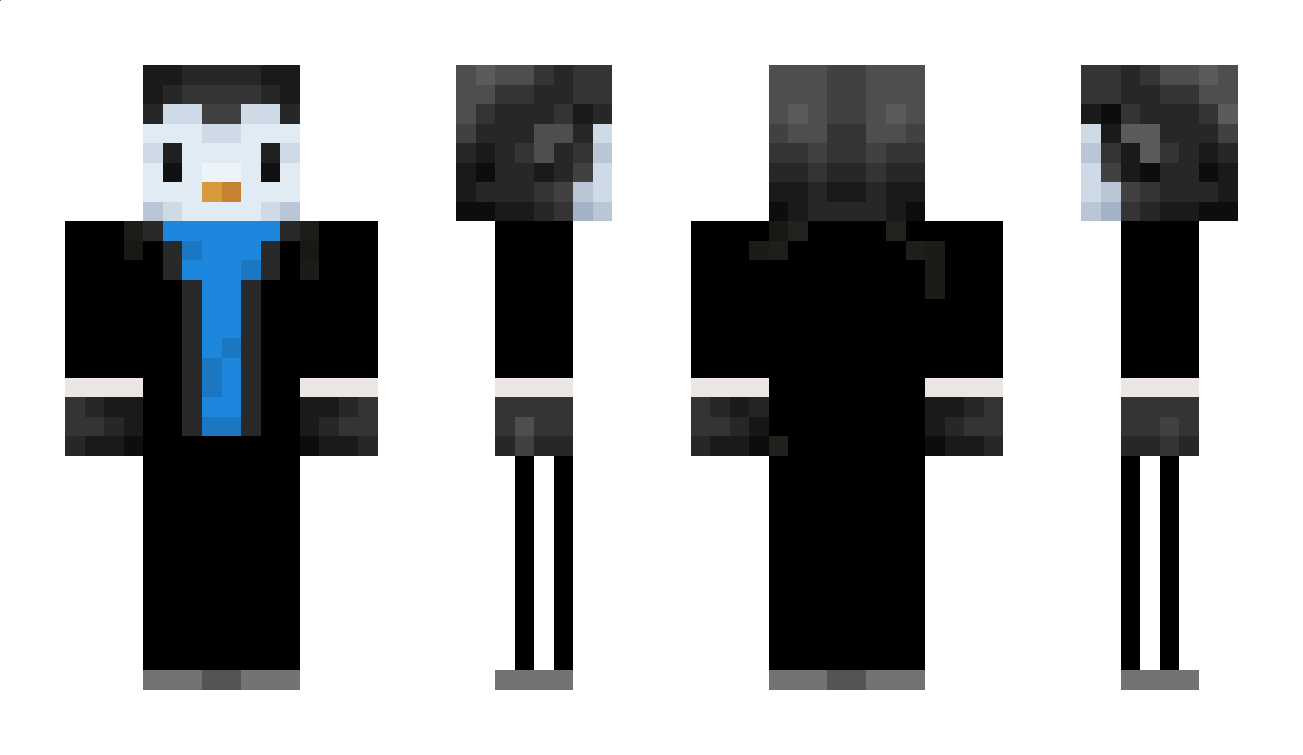 NightStar5566 Minecraft Skin