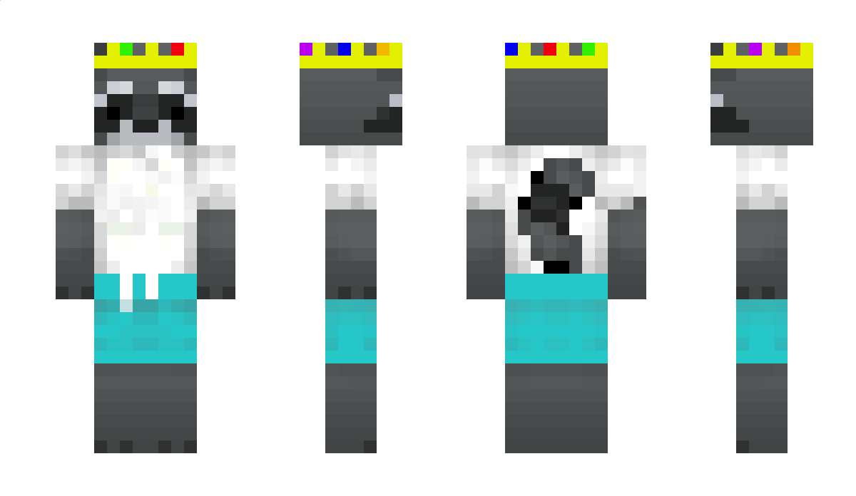 TacoRaccoon Minecraft Skin