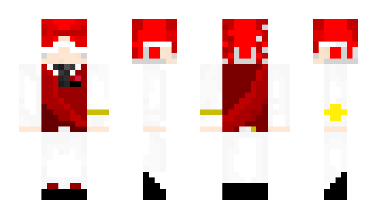 BaseValkryie Minecraft Skin